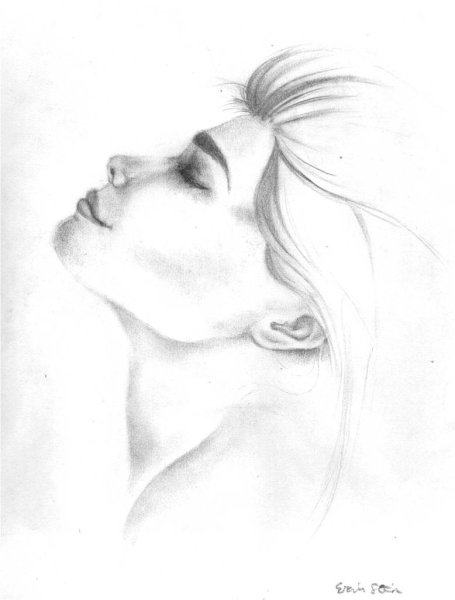 Пропорции лица человека в профиль