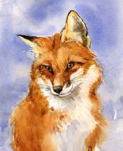 Лиса картина