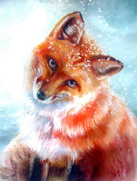 Лисы гуашью