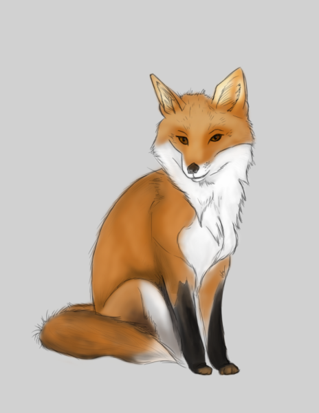 Лиса фото рисунки