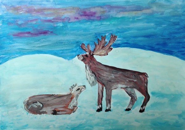 Рисунок на тему тундра