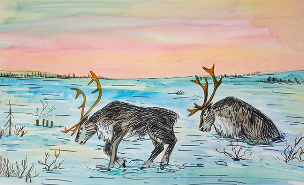 Рисунки на тему Север