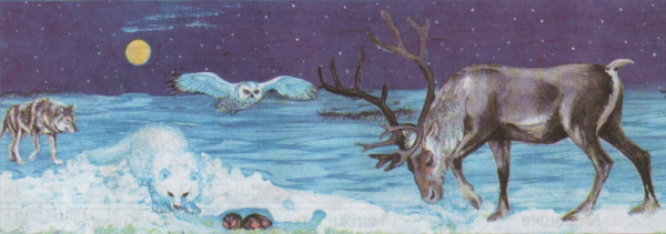 Рисование Северный олень