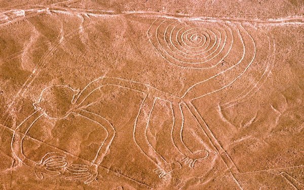 Рисунки пустыни Наска