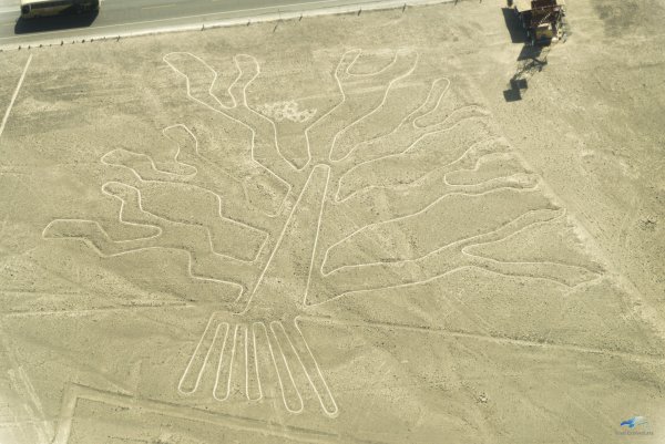 Линии пустыни Наска