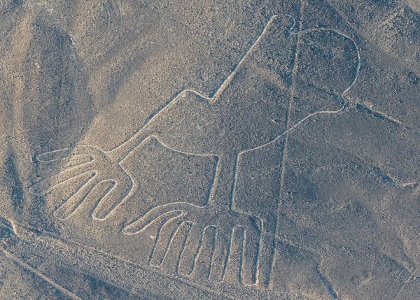 Геоглифы плато Наска