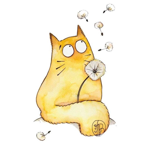 Смешной кот рисунок