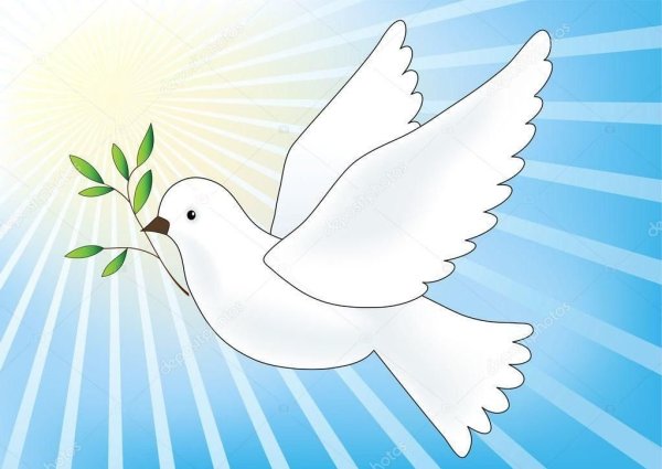 Белый голубь символ мира