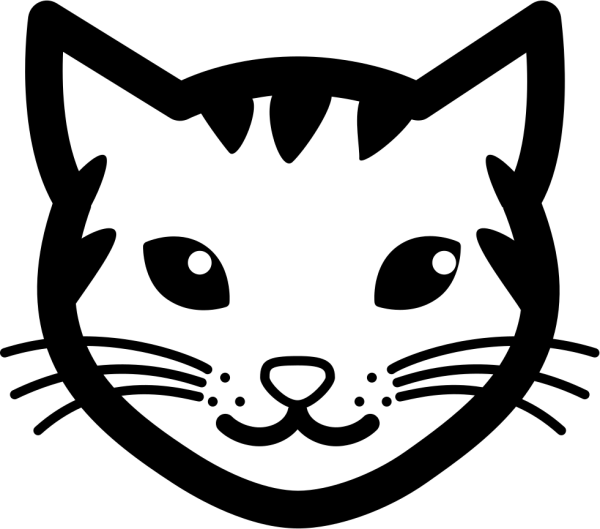 Мордочка кошечки