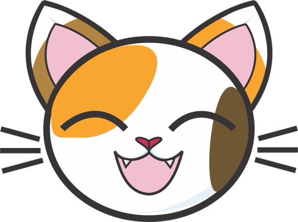 Мордочка кошки рисунок