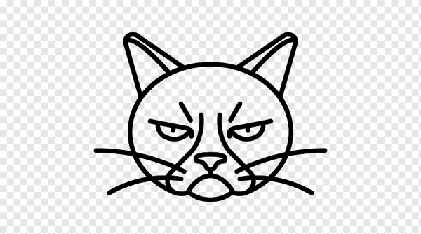 Нарисовать лицо кота