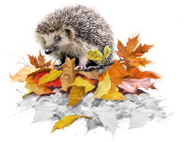 Ежик с листьями