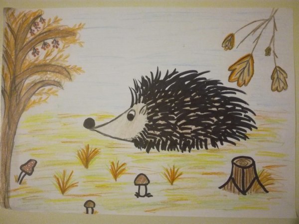 Колдина рисование Ежи Ежовичи