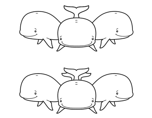 Три кита раскраска