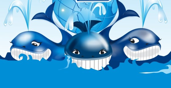 Три кита три кита