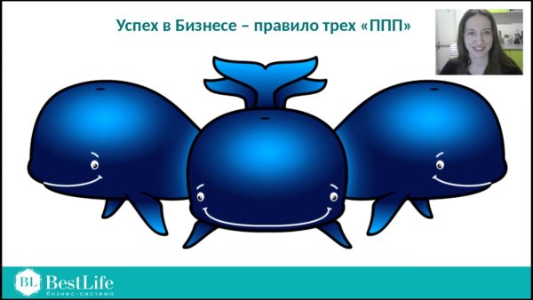 Три кита для презентации