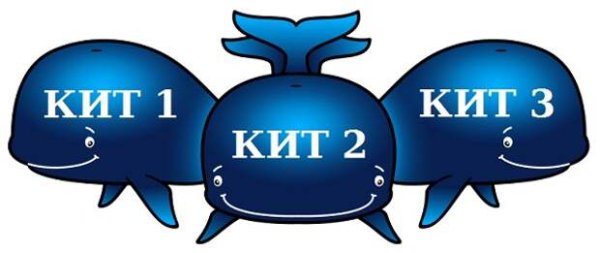 Держится на трех китах