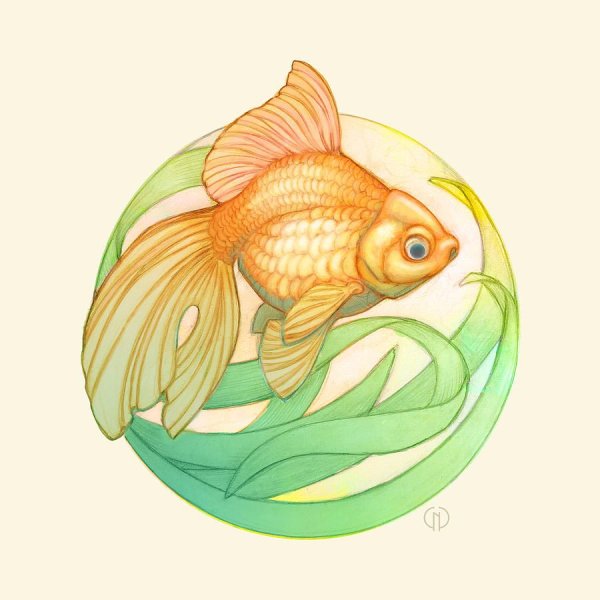 Золотая рыбка иллюстрация