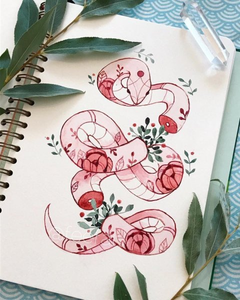 Рисунки для скреч бука