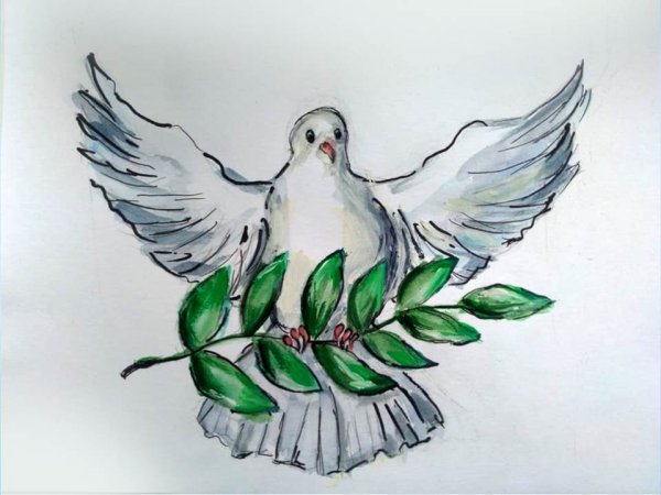 Голубь с веткой оливы