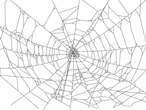 Векторная паутина