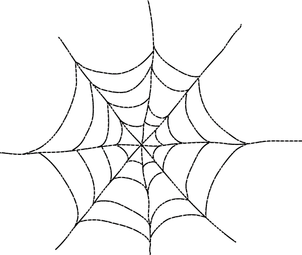 Паук на паутине на прозрачном фоне