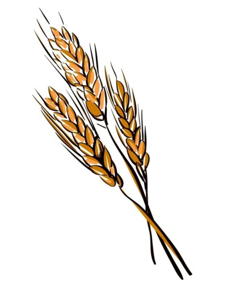 Веточка пшеницы