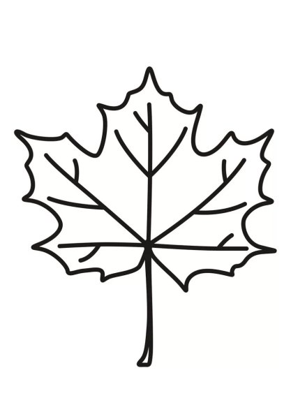 Нарисовать кленовый лист