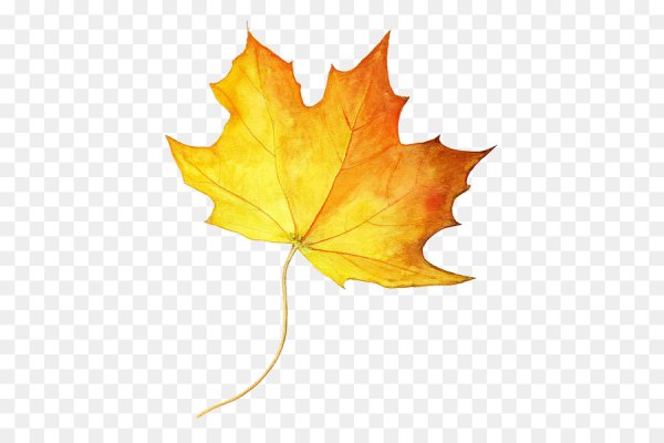 Осенние листья рисунок