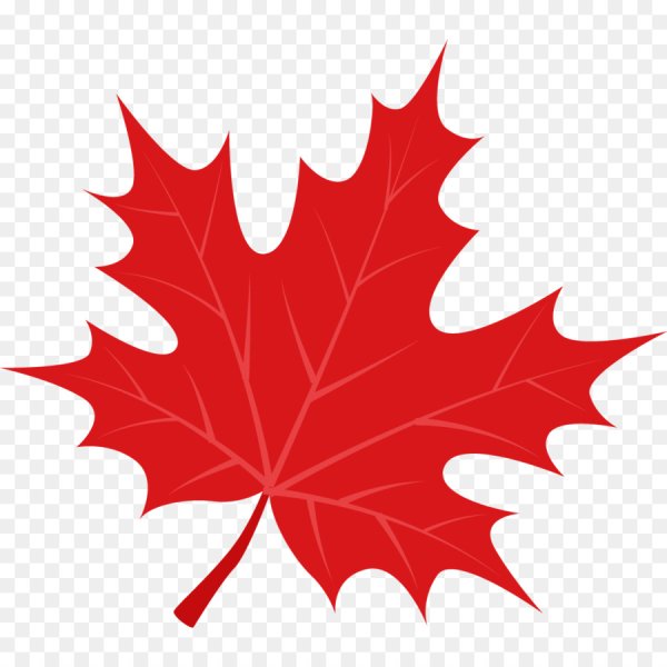 Лист клена трафарет