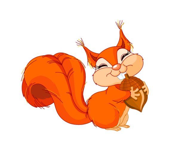 Белочка рисунок