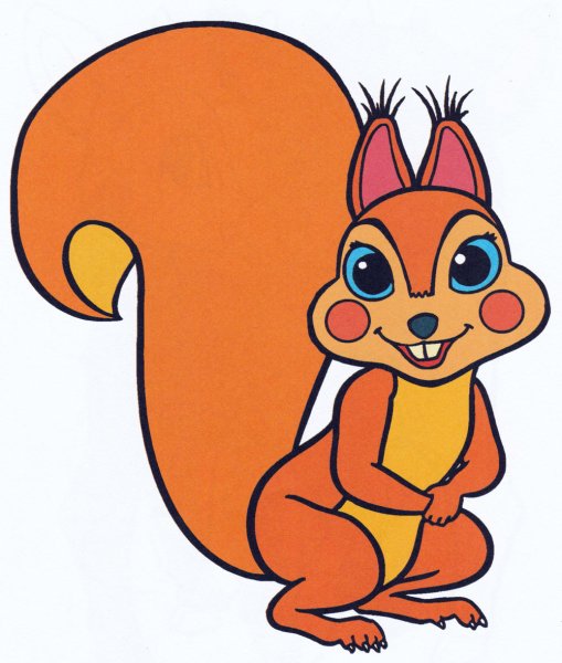Белочка рисунок
