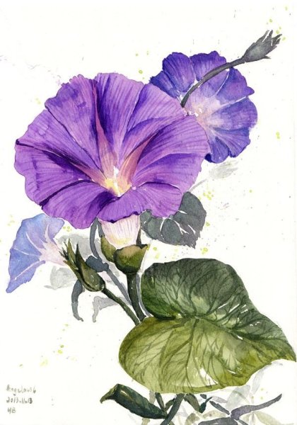 Петуния акварель