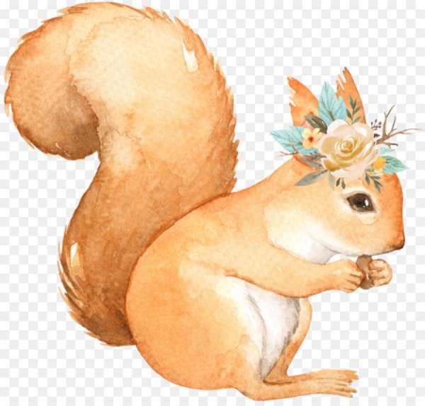 Белочка акварель