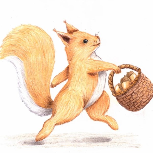 Белка нарисовать