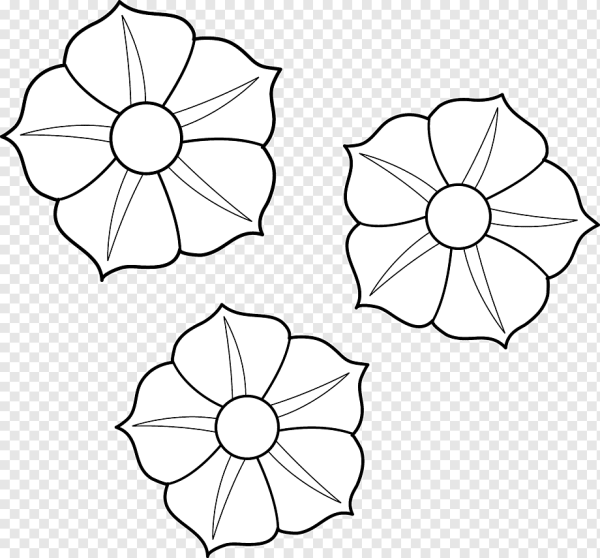 Раскраска петуния цветок