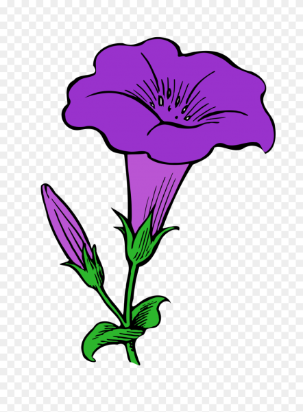 Пурпурный цветок нарисованный