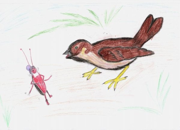 Таракан и Воробей Чуковский