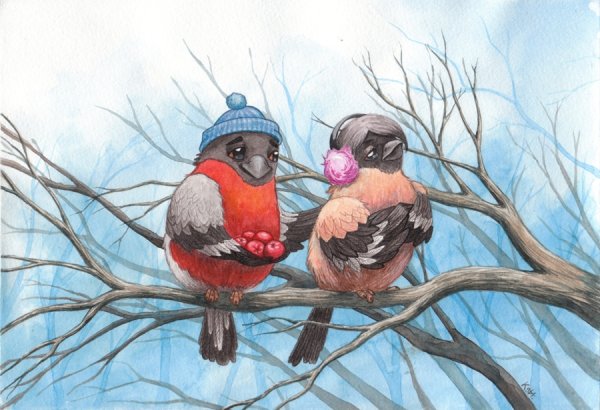 Пнснигири на белом фоне