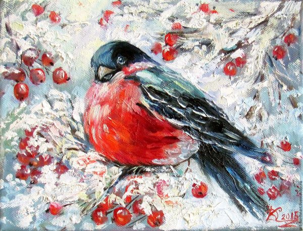 Снегирь рисунок карандашом