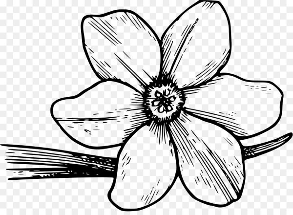 Нарисовать цветы