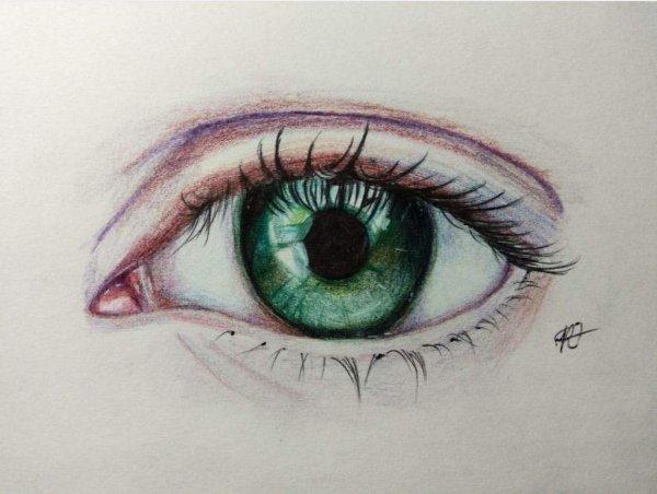 Красивый глаз карандашом
