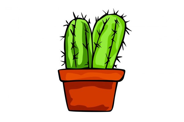 Кактус набросок