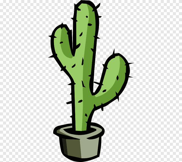 Кактус на прозрачном фоне