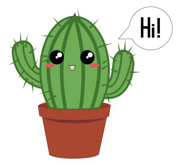 Кактусы мультяшные