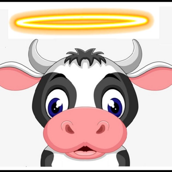 Морда бычка