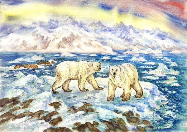 Арктика картинки для детей