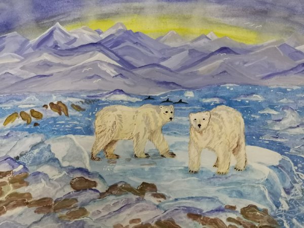 Арктика рисунок