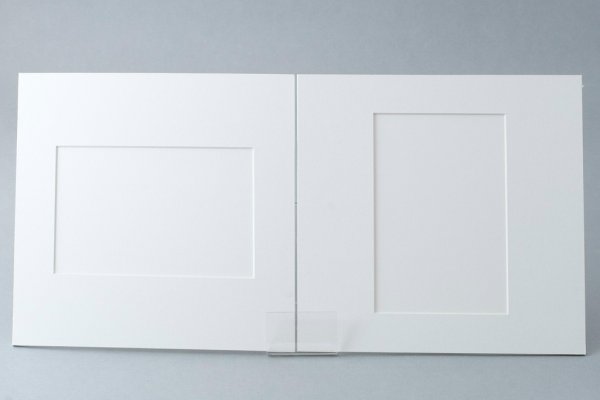 Паспарту а3 Леонардо