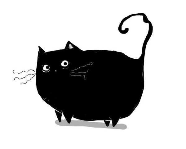 Толстая черная кошка